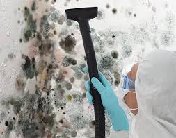 Trusted Gregory, TX Mold Prevention & Removal  Experts